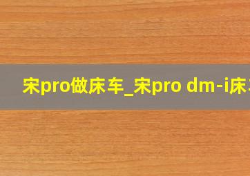 宋pro做床车_宋pro dm-i床车